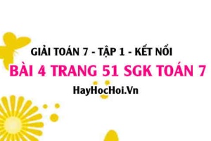 Giải bài 4 trang 51 Toán 7 Tập 1 SGK Cánh Diều